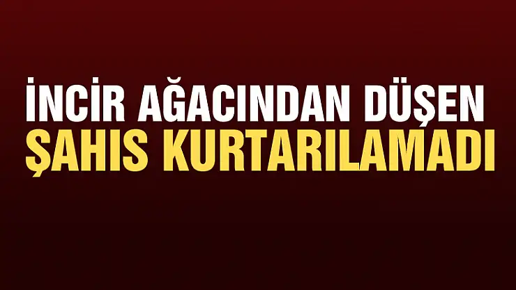 İncir ağacından düşen şahıs kurtarılamadı