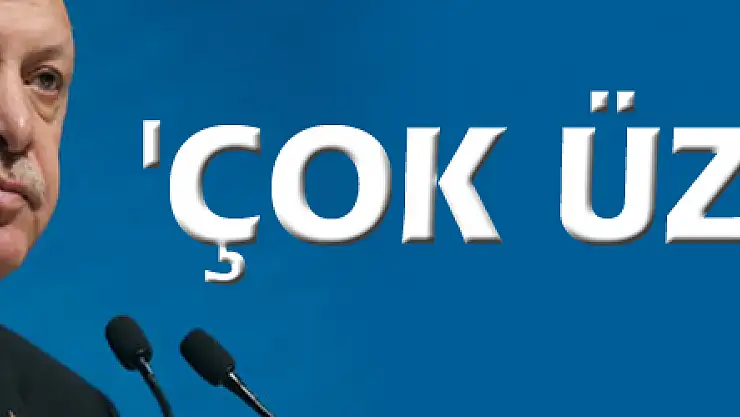 Erdoğan'dan heykelinin yapılmasına tepki: 'Çok üzüldüm'