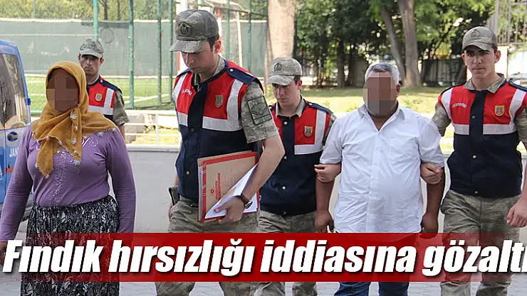 Fındık hırsızlığı iddiasına gözaltı