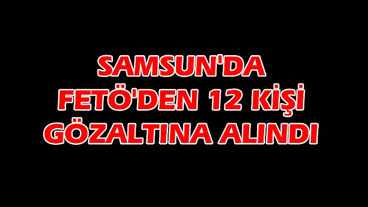 Samsun'da FETÖ'den 12 kişi gözaltına alındı