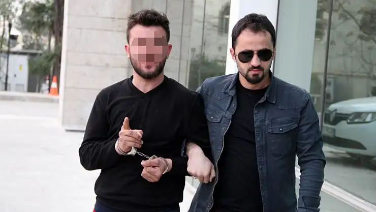 Bonzai ticaretine ceza yağdı