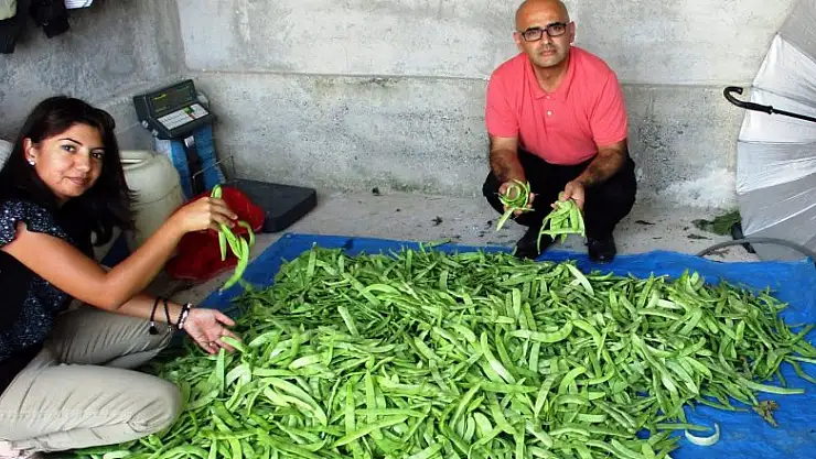 Bu fasulye yok satıyor