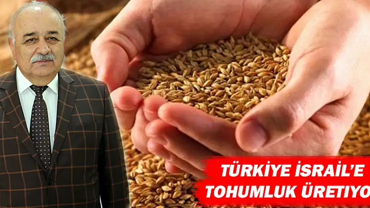 Taşan: 'Türkiye İsrail'e tohumluk üretiyor'