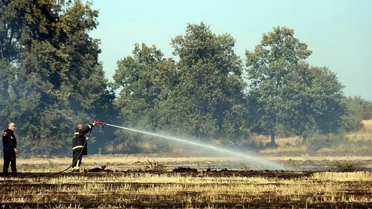 Samsun'da anız yangını