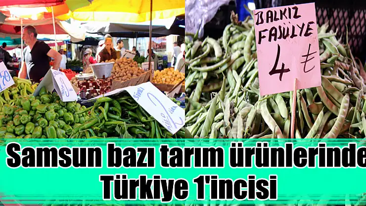 Samsun bazı tarım ürünlerinde Türkiye 1'incisi 