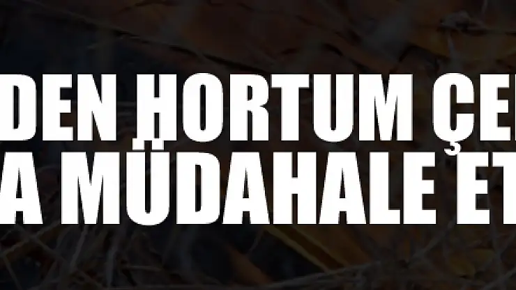 Evlerinden hortum çekerek yangına müdahale ettiler