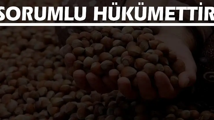 Usta, 'Sorumlu Hükümettir'