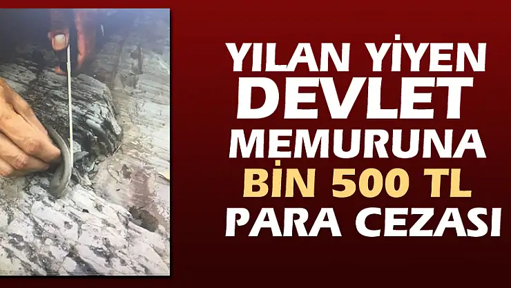 Yılan yiyen devlet memuruna bin 500 TL para cezası