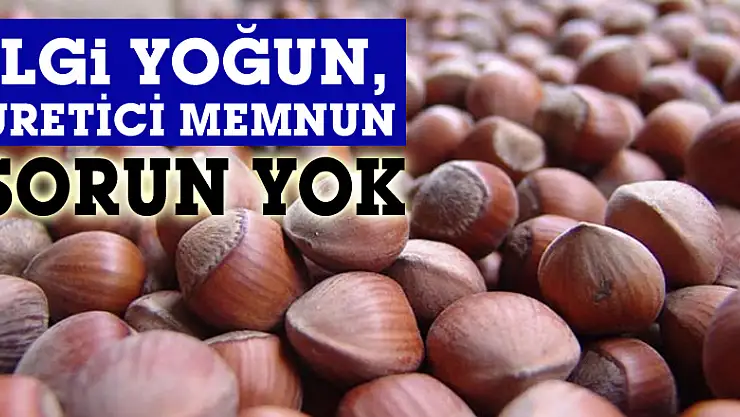 Terme´ de Fındık Alımlarında Sorun Yok