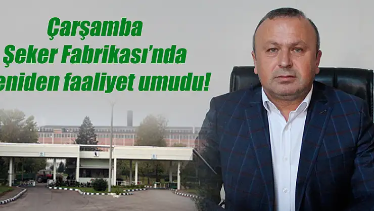 Çarşamba Şeker Fabrikası'nda yeniden faaliyet umudu!
