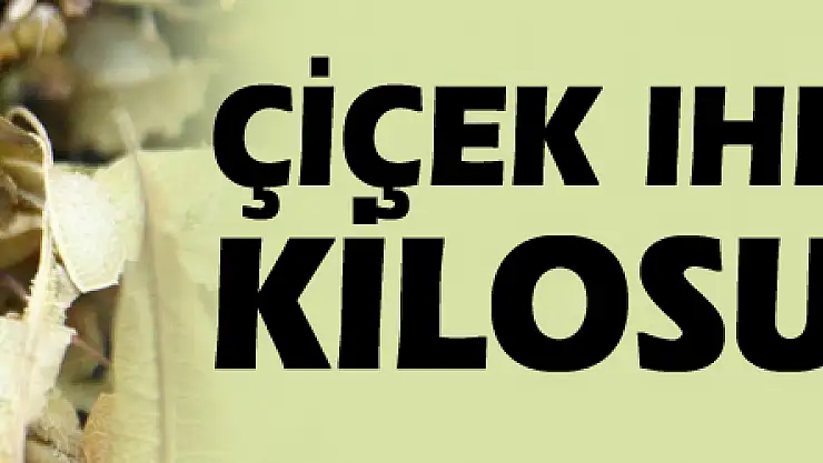 Çiçek ıhlamurun kilosu 200 TL