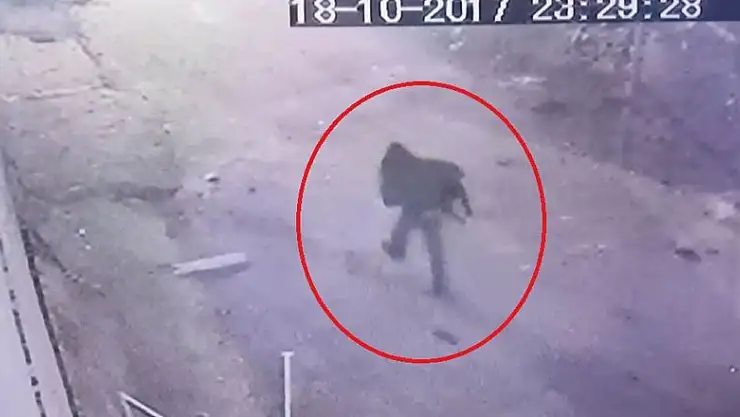 Çalınan köpeğini bulana para ödülü verecek