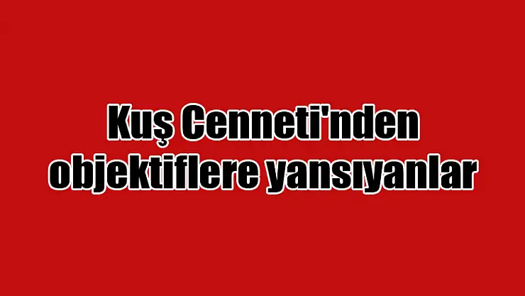 Kuş Cenneti'nden objektiflere yansıyanlar
