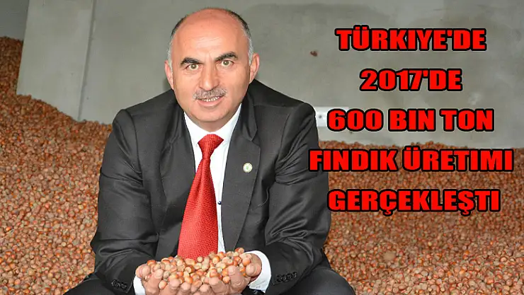  Türkiye'de 2017'de 600 bin ton fındık üretimi gerçekleşti