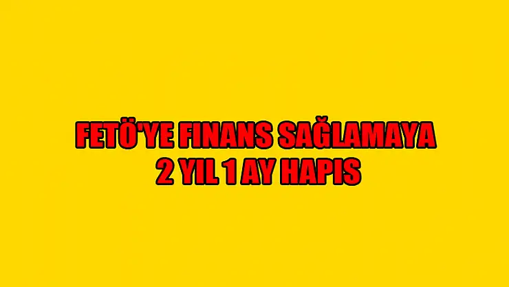 FETÖ'ye finans sağlamaya 2 yıl 1 ay hapis 