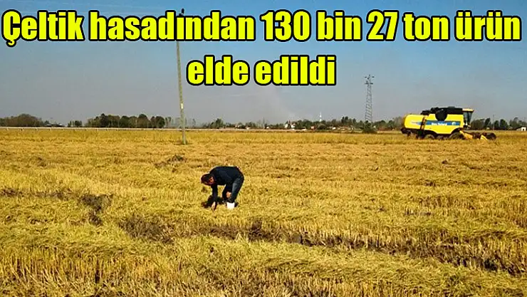 Samsun'da çeltik hasadından 130 bin 27 ton ürün elde edildi
