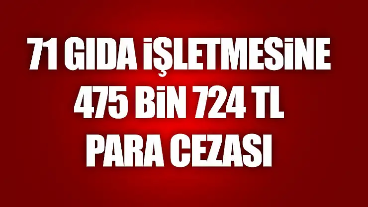 71 gıda işletmesine 475 bin 724 TL para cezası 
