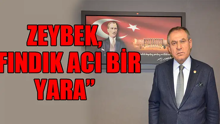 ZEYBEK, 'FINDIK ACI BİR YARA'