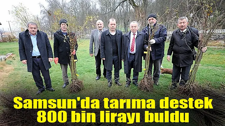 Samsun'da tarıma destek 800 bin lirayı buldu