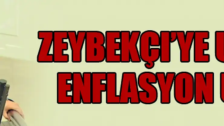 Zeybekçi'ye Usta'dan enflasyon uyarısı