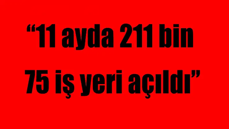 '11 ayda 211 bin 75 iş yeri açıldı'