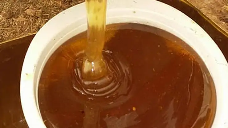 Bal hangi hastalıklara iyi gelir?