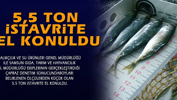 5,5 ton istavrite el konuldu