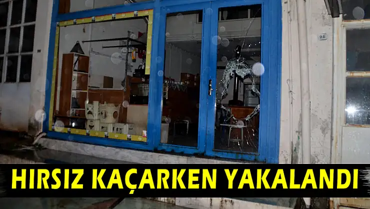 Hırsız kaçarken yakalandı 