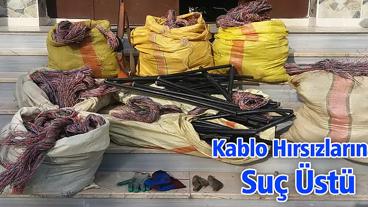 Çuvallar dolusu telefon kablosu çaldılar