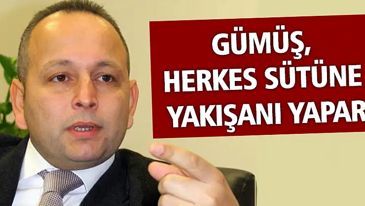 Gümüş, 'Herkes sütüne yakışanı yapar'