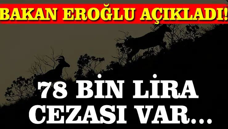 Bakan Eroğlu açıkladı! 78 bin lira cezası var...