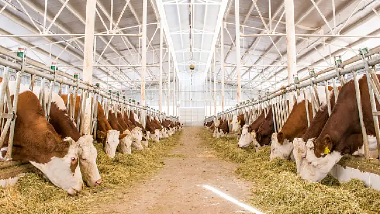 DOKAP başvuruları başladı