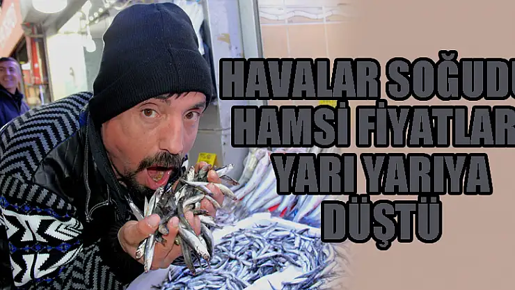 Havalar soğudu, hamsi fiyatları yarı yarıya düştü