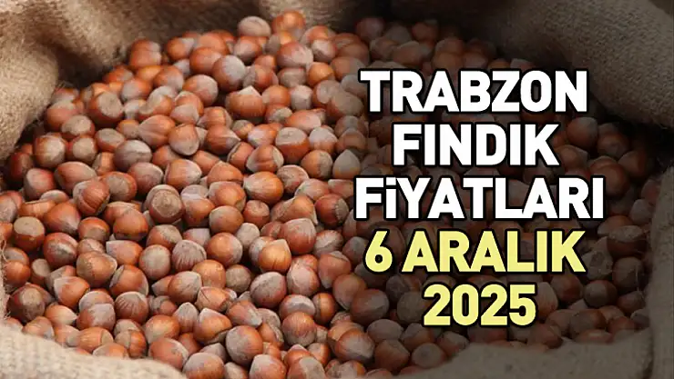6 Aralık 2025 Trabzon Fındık Fiyatları ne kadar? Avrupa Siparişleri Hızlandı!