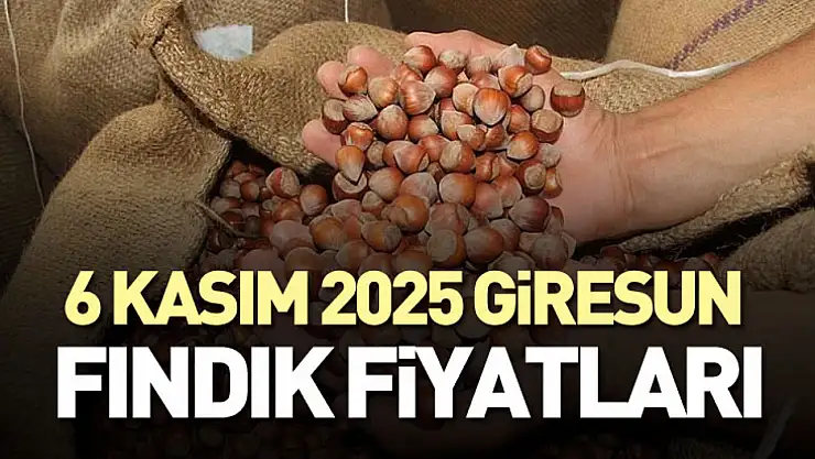 6 Kasım 2025 Giresun Fındık Fiyatları: Tombul Fındıkta Kalite Yine Zirvede!