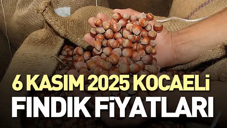 6 Kasım 2025 Kocaeli Fındık Fiyatları: Sanayi Kentinde Fındık Talebi Artıyor! Fabrika Alımları Hızlandı