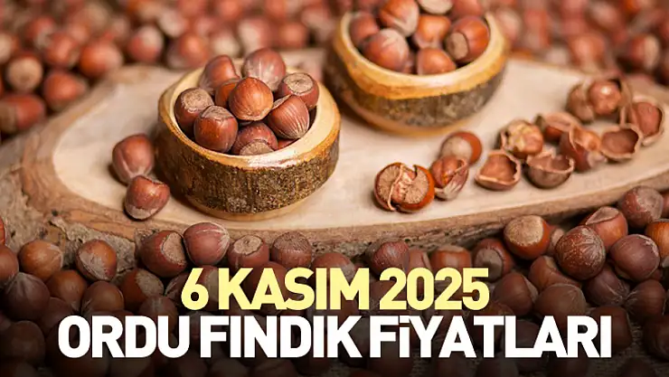 6 Kasım 2025 Ordu Fındık Fiyatları