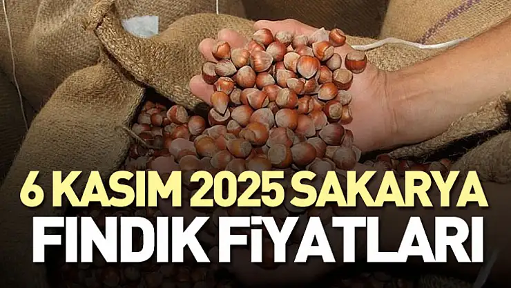 6 Kasım 2025 Sakarya Fındık Fiyatları: Marmara'nın Fındık Merkezi Yükseliş Trendinde!