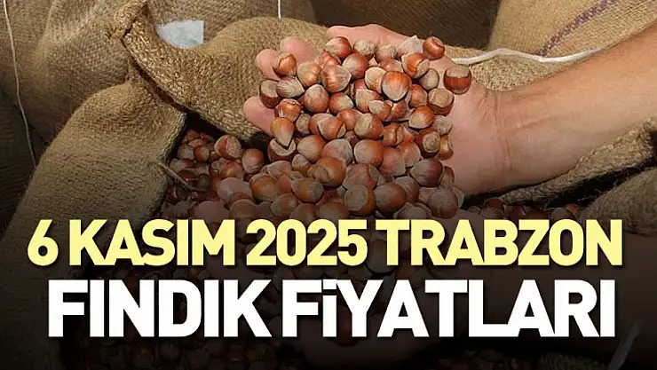 6 Kasım 2025 Trabzon Fındık Fiyatları: Fiyatlar 285 TL'yi Aştı