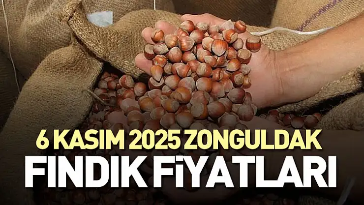 6 Kasım 2025 Zonguldak Fındık Fiyatları: Batı Karadeniz'de Fındık Piyasası Yükselişte!