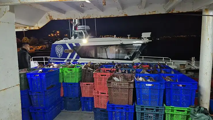 6 ton kaçak kalkan ele geçirildi