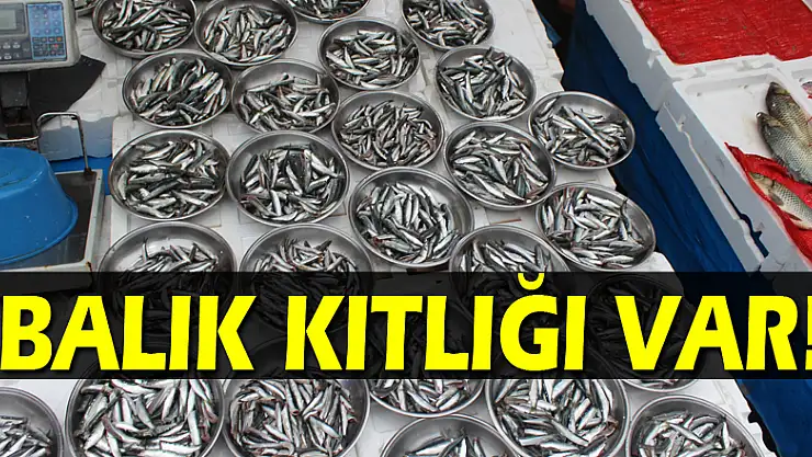Balık kıtlığı var!