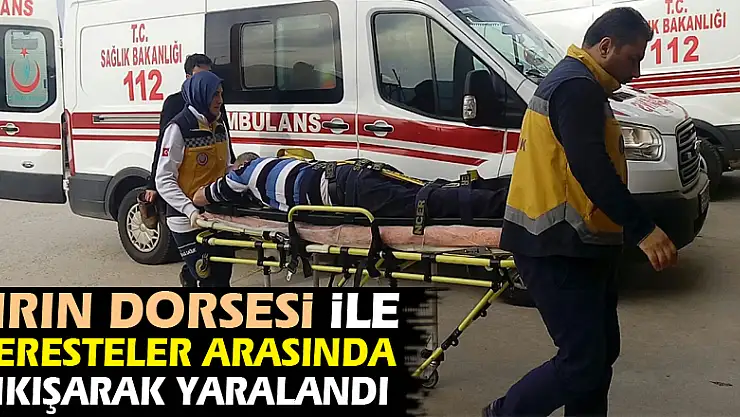 Tırın dorsesi ile keresteler arasında sıkışarak yaralandı