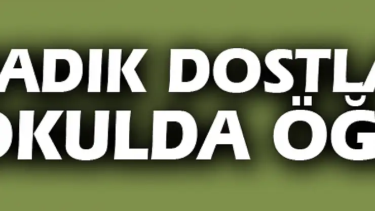 Sadık dostlar itaati okulda öğreniyor