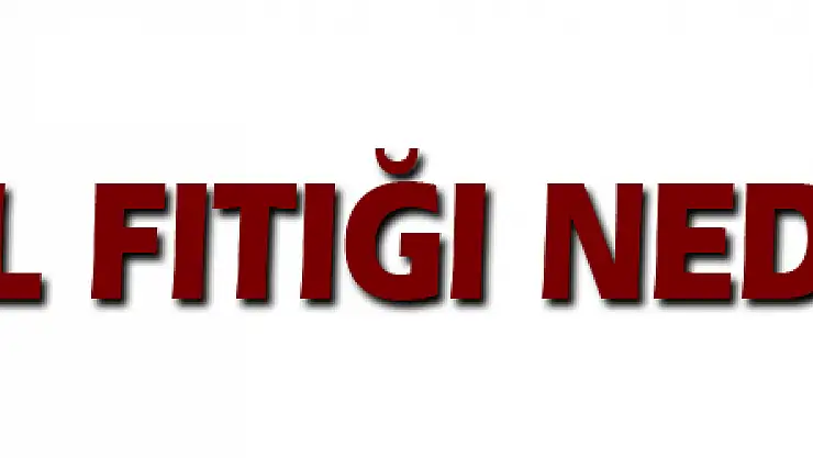 Bel fıtığı neden olur?