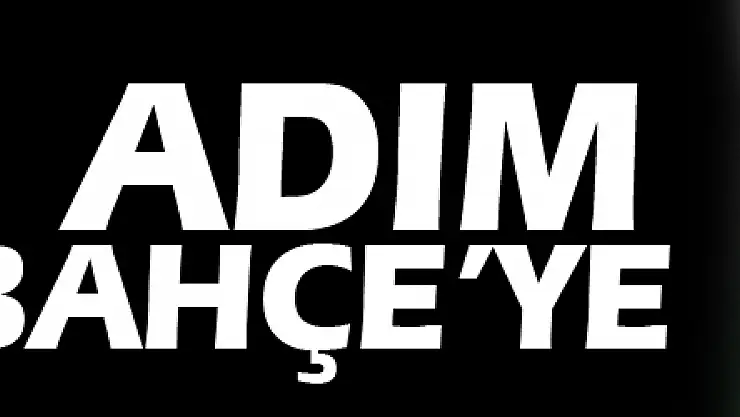 Adım adım Fenerbahçe'ye