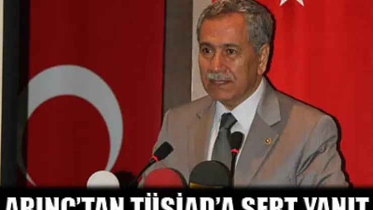 Arınç'tan Boyner'e cevap