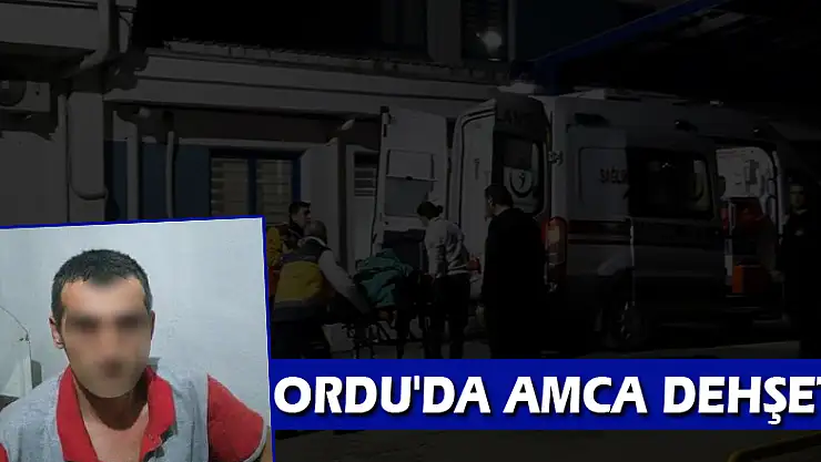 Ordu'da amca dehşeti