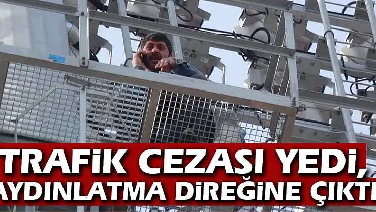 Trafik cezası yedi, aydınlatma direğine çıktı