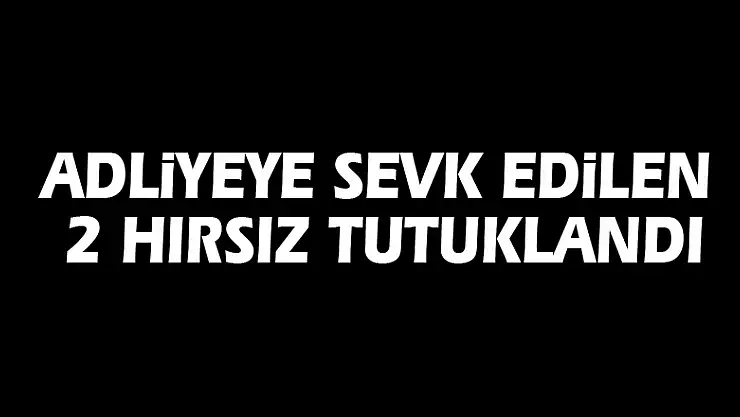 Adliyeye sevk edilen 2 hırsız tutuklandı